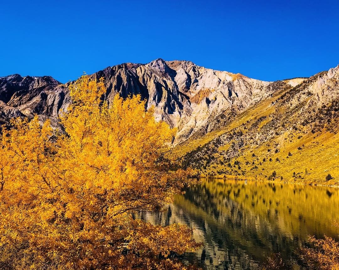 The Sierra Nevada Resort & Spa Features Fall Foliage at Its Finest with